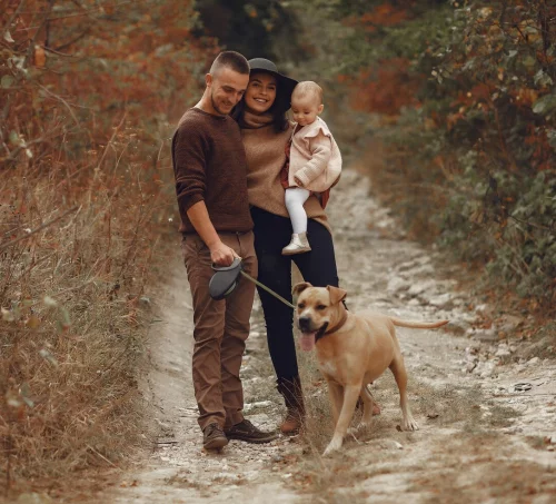 What Can Family History Preservation Reveal