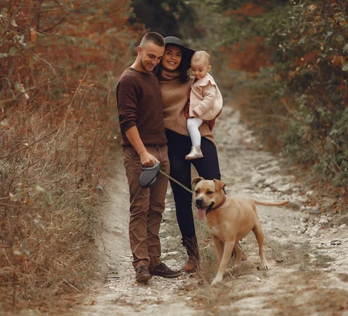 Cutting-Edge Techniques for Safeguarding Family History on Videotape
